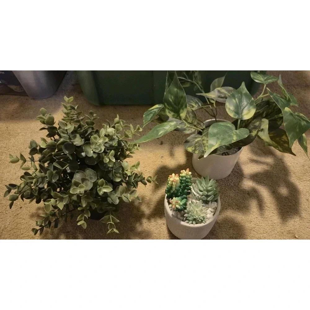Artificial Potted Plants FEJKA IKEA + Mainstays Succulent + White...